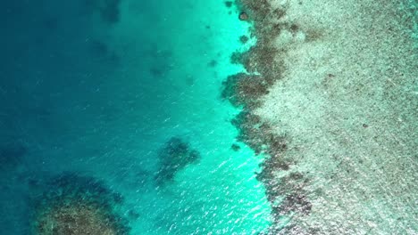 Aerial-vertical-view-of-Fasdhoo-Lagoon-reef-edge,-Maldives,-Indian-Ocean