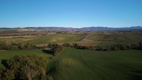Panoramic-aerial-dolly-above-grassy-rolling-hills-divided-by-trees,-Val-d'Orcia-Tuscany