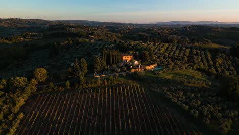 Aerial-parallax-around-villa-in-Tuscany-looking-over-olive-orchards