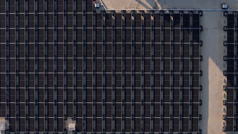Clean-rows-of-solar-panels-gathering-renewable-resource-energy,-aerial-drone-top-down
