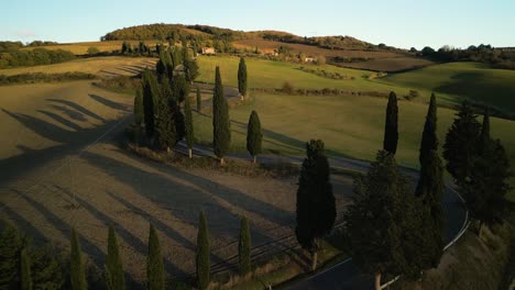 Drone-flies-through-trees-over-black-asphalt-winding-road-at-golden-hour-in-Val-d'Orcia-Tuscany
