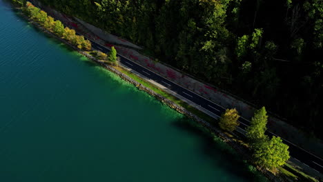 An-Aerial-Shot-Of-Tarred-Road-By-A-Green-Forest-Near-The-Lake-In-Austria
