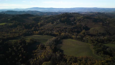 Thick-forest-divides-agriculture-fields-of-beautiful-Tuscan-landscape-in-the-fall