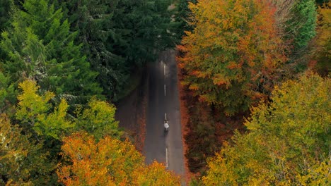 Above-autumn-colored-forest-with-woman-in-white-dress-walking-on-road