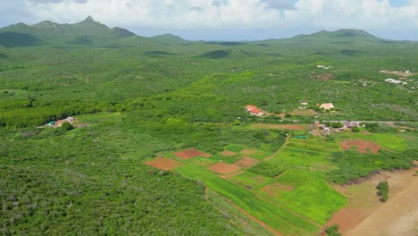Aerial-orbit-around-open-farmland-on-sunny-day-next-to-Christoffelberg,-Curacao