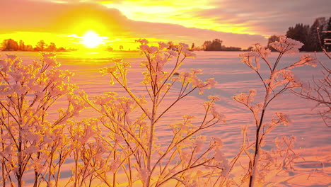Zeitraffer-Des-Sonnenaufgangs-über-Dem-Schneebedeckten-Hinterland-Lettlands
