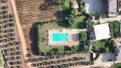 Große,-Langsam-Rotierende-Luftaufnahmen-Von-Oben-Nach-Unten-Von-Einem-Pool-Auf-Einer-Masseria-Olivenfarm-In-Süditalien