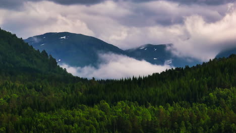 Üppiger-Grüner-Wald-Mit-Dichten-Bäumen-Im-Berg-Mit-Wolken-Im-Hintergrund