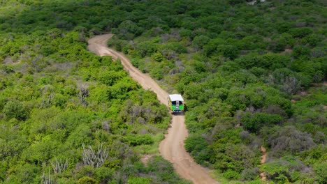 Off-road-tour-car-drives-along-sandy-winding-dirt-road-in-tropical-Caribbean-landscape