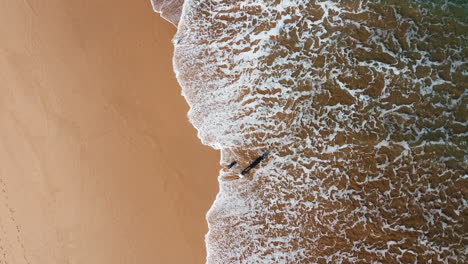 Aerial-top-down-shot-of-person-resting-at-sandy-beach-and-scared-by-strong-waves-of-ocean