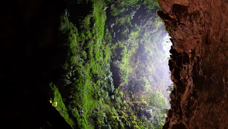 Vergrößern-Sie-Die-Vegetation,-Die-Im-Vulkankegel-Algar-Do-Carvao-Wächst