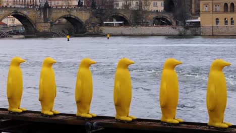 Gelbe-Pinguine,-Moldau-Und-Karlsbrücke-In-Prag,-Tschechische-Republik