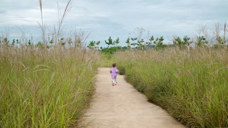 Carefree-Little-Girl-Runs-on-Road-Through-Tall-Reed-Grass-Field-in-Slow-Motion---Back-view