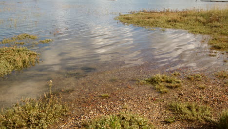 Mid-shot-of-low-lying-grass-flooded-at-high-tide-taken-at-Ashlett-creek-sailing-club-in-the-Solent,-Southampton