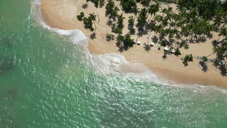 Luftaufnahme-Des-Malerischen-Strandes-Von-Punta-Popy-Im-Touristenziel-Las-Terrenas-In-Der-Dominikanischen-Republik