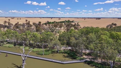 Aerial-rising-up-near-the-new-walking-and-cycling-bridge-at-Lake-Mulwala,-NSW,-Australia-with-farmland-beyond