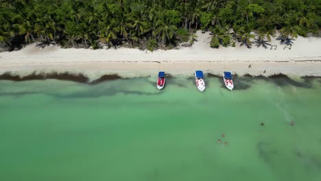 Luftaufnahme-Von-Touristen,-Die-Am-Strand-Von-El-Toro-Auf-Der-Malerischen-Insel-Saona-In-Der-Dominikanischen-Republik-Baden