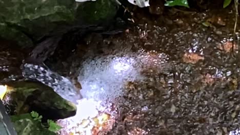 Crystal-clear-mineral-water-creek-in-the-Brazilian-Cerrado---slow-motion