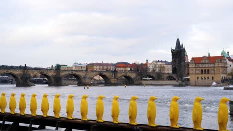 Pingüinos-Amarillos-Y-Puente-De-Carlos-Sobre-El-Río-Vltava-En-Praga