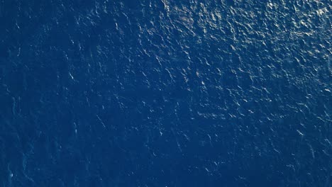 Vibrant-blue-Caribbean-waters,-drone-top-down-nature-background-with-glistening-ripples