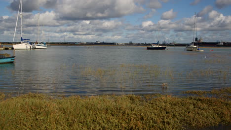 low-lying-grass-flooded-at-high-tide-taken-at-Ashlett-creek-sailing-club-in-the-Solent,-Southampton