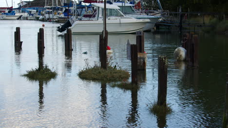 high-tide-flooding-at-Ashlett-creek-in-the-Solent,-Southampton