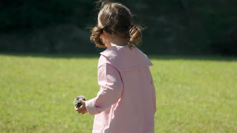 Curious-Playful-Toddler-Girl-with-Pine-Cone-in-Hand-Walking-Searching-Bigger-Cones-on-Grassy-Meadow---side-view-slow-motion-tracking