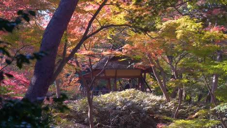 Wunderschöne-Filmische-Enthüllung-In-Herbstfarben-Mit-Traditionellem-Japanischen-Gebäude
