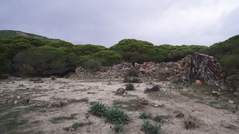 Landschaft-Aus-Felsen-Und-Wald-In-Estepona,-Spanien,-Nach-Oben-Geneigte-Ansicht