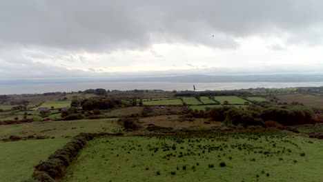 Reverse-drone-shot-over-a-lush-green-field-with-birds-flying-by-in-Donegal,-Ireland