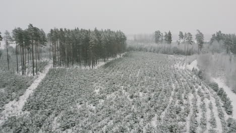 Valdemarpils-Von-Lettland-Im-Monat-Dezember