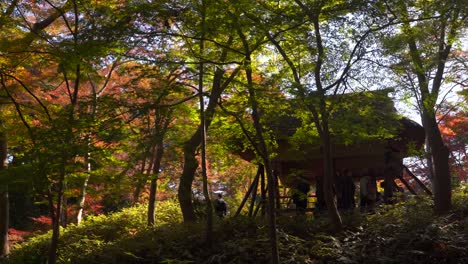 Traditionelles-Japanisches-Strohdachgebäude-Im-Japanischen-Landschaftsgarten