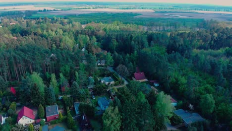 Small-village-in-foothills-of-Poland-surrounded-by-tall-deciduous-and-coniferous-trees