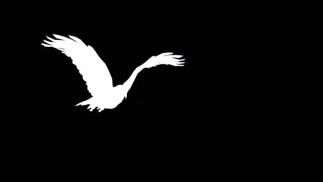 Ein-Amerikanischer-Weißkopfseeadler-Schlägt-Mit-Den-Flügeln-Auf-Schwarzem-Hintergrund-Mit-Alphakanal-Am-Ende-Des-Videos,-3D-Animation,-Perspektivischer-Ansicht,-Animierten-Tieren,-Nahtloser-Schleifenanimation