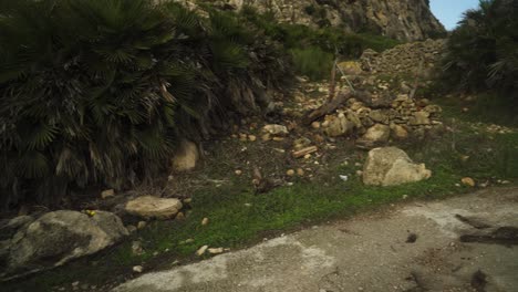 Trek-pathway-near-rocky-cliffs-and-palm-trees,-pan-right-view