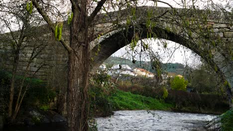 Low-angle-side-view-of-bridge-and-lonia-river-with-homes-framed-in-opening-behind-mossy-tree