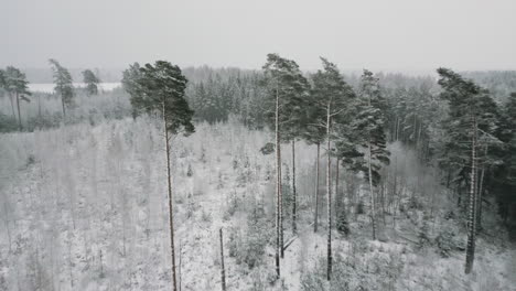 Valdemarpils-Von-Lettland-Im-Monat-Dezember