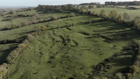 North-Cotswold-Landschaft-Herbstlandschaft-Nutztiere-Felder-Hügel-Luftaufnahme-England