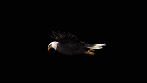 Ein-Amerikanischer-Weißkopfseeadler-Gleitet-Auf-Schwarzem-Hintergrund-Mit-Alphakanal-Am-Ende-Des-Videos,-3D-Animation,-Seitenansicht,-Animierte-Tiere,-Nahtlose-Schleifenanimation