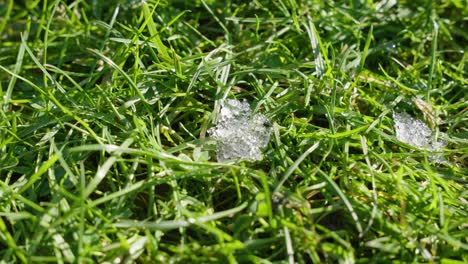 Macro-shot-of-shiny-melting-snow-particles-with-green-grass-and-leaves