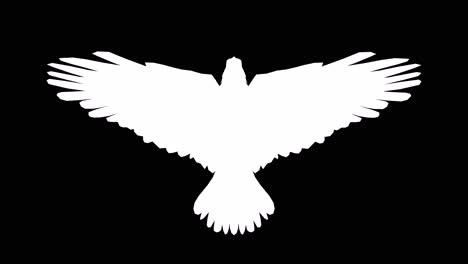 Ein-Amerikanischer-Weißkopfseeadler-Schlägt-Mit-Den-Flügeln-Auf-Schwarzem-Hintergrund-Mit-Alphakanal-Am-Ende-Des-Videos,-3D-Animation,-Draufsicht,-Animierte-Tiere,-Nahtlose-Schleifenanimation