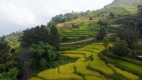 Motorbike-drives-along-winding-roads-through-Nepal-terrace-fields
