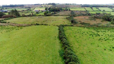 Drone-shot-soaring-over-lush-green-pastures-with-sheep-grazing-the-fields-in-Donegal,-Ireland