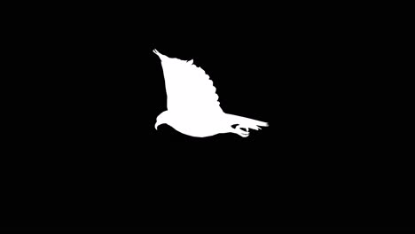 Ein-Amerikanischer-Weißkopfseeadler-Schlägt-Mit-Den-Flügeln-Auf-Schwarzem-Hintergrund-Mit-Alphakanal-Am-Ende-Des-Videos,-3D-Animation,-Seitenansicht,-Animierte-Tiere,-Nahtlose-Schleifenanimation