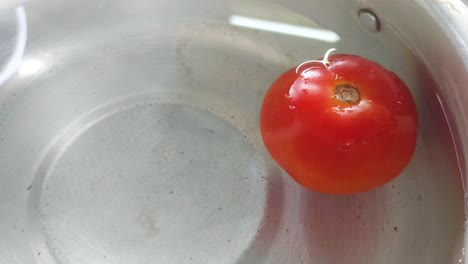 Cerca-De-Un-Tomate-Empapado-En-Agua
