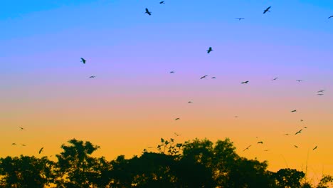 Migratory-birds-flying-over-forest-at-sunset-in-dramatic-sky