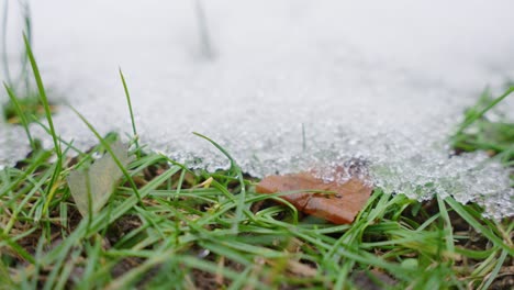 Macro-shot-of-melting-snow-particles-with-green-grass-and-leaves