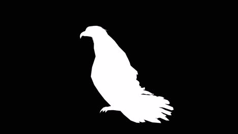 Ein-Amerikanischer-Weißkopfseeadler,-Der-Untätig-Auf-Schwarzem-Hintergrund-Sitzt,-Mit-Alphakanal-Am-Ende-Des-Videos,-3D-Animation,-Seitenansicht,-Animierte-Tiere,-Nahtlose-Schleifenanimation