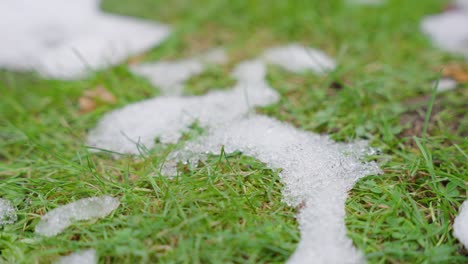 Makroaufnahme-Schmelzender-Schneepartikel-Mit-Grünem-Gras-Und-Blättern