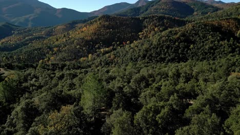 Scenic-Drone-Travel-Landscape-of-Green-Mountain-Trees-Foliage,-Blue-Skyline-Peak-in-Arbucies,-Girona,-Spain